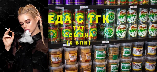 индика Тихвин