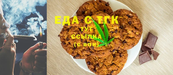 индика Тихвин