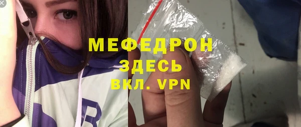 индика Тихвин