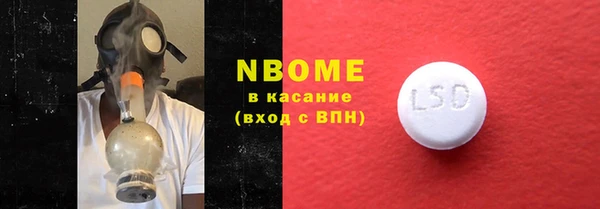 индика Тихвин