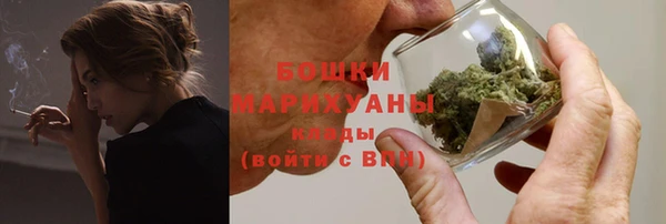 индика Тихвин