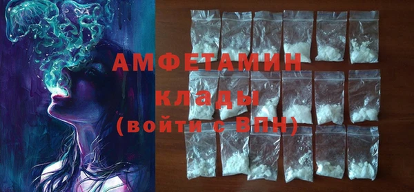 индика Тихвин
