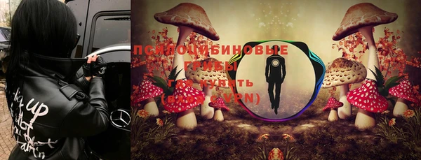гидра Магадан