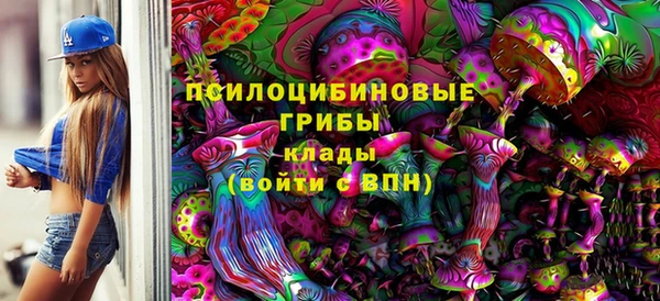 МДПВ Тобольск
