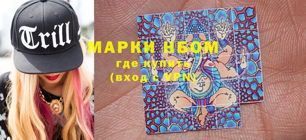индика Тихвин