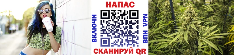 где купить   Снежинск  Бошки марихуана индика 
